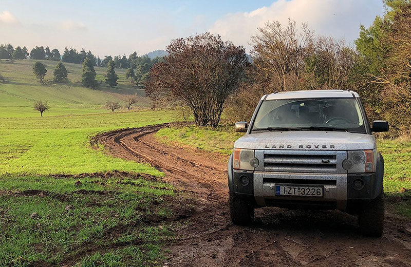 Safari Adventure